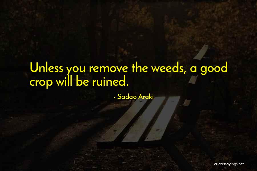 Godefroy Tint Quotes By Sadao Araki Godefroy Tint Quotes By Sadao Araki