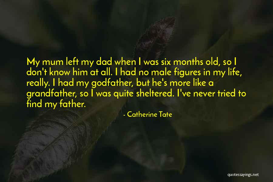 Godfather Quotes By Catherine Tate Godfather Quotes By Catherine Tate