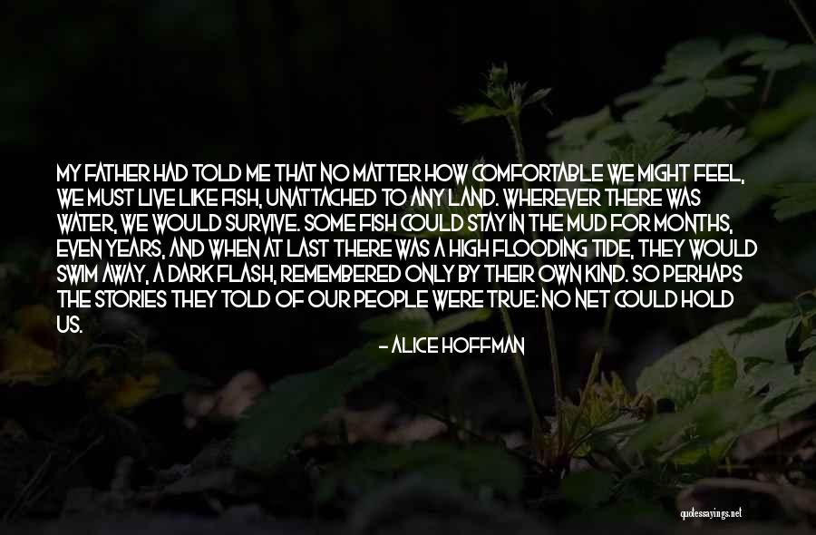 Godiamo Dead Quotes By Alice Hoffman Godiamo Dead Quotes By Alice Hoffman