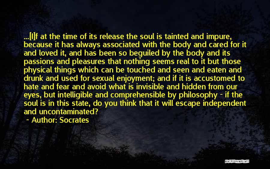 Godlessness Quotes By Socrates