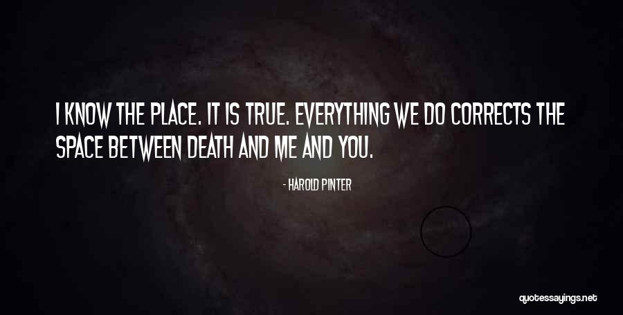 Godlewski Amazing Quotes By Harold Pinter Godlewski Amazing Quotes By Harold Pinter