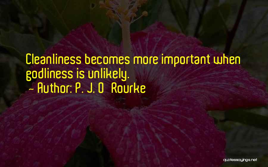 Godliness Cleanliness Quotes By P. J. O'Rourke