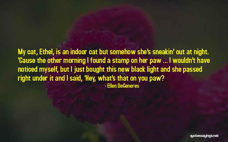 Godly Advice Quotes By Ellen DeGeneres Godly Advice Quotes By Ellen DeGeneres