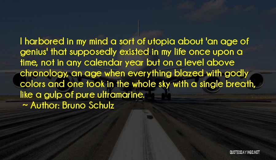 Godly Life Quotes By Bruno Schulz