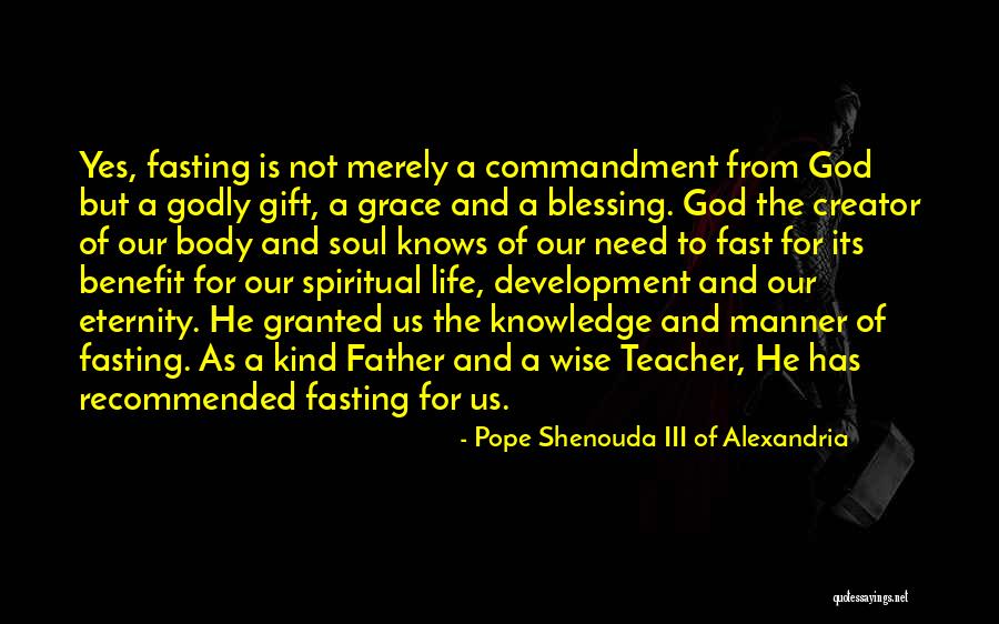 Godly Life Quotes By Pope Shenouda III Of Alexandria Godly Life Quotes By Pope Shenouda III Of Alexandria