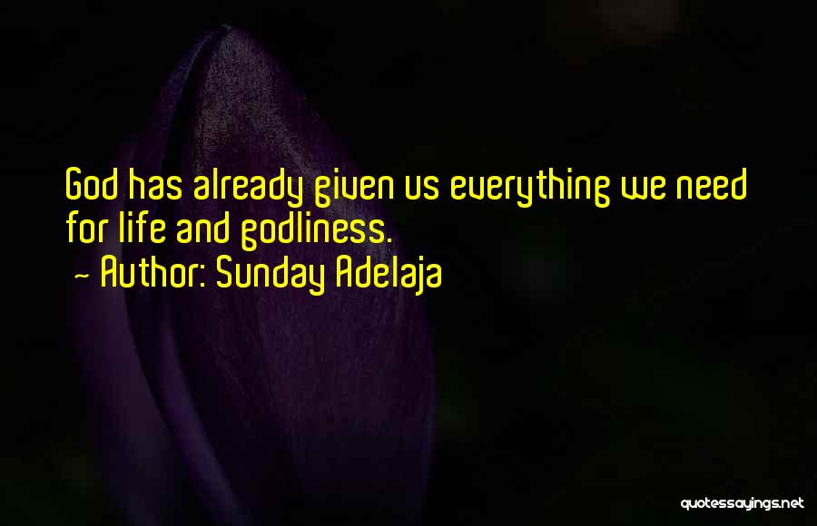 Godly Life Quotes By Sunday Adelaja