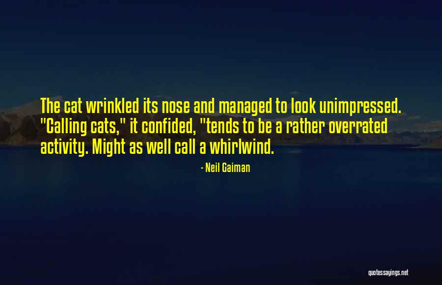 Gododdin Quotes By Neil Gaiman Gododdin Quotes By Neil Gaiman
