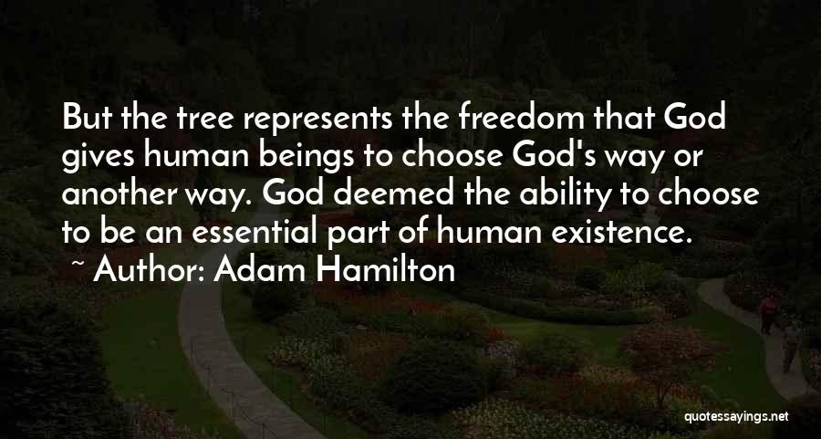 God's Ability Quotes By Adam Hamilton