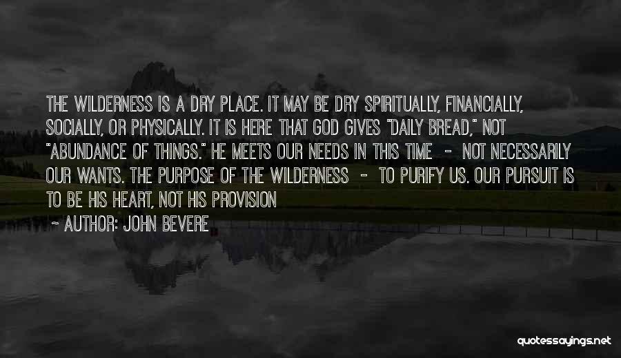 God's Abundance Quotes By John Bevere