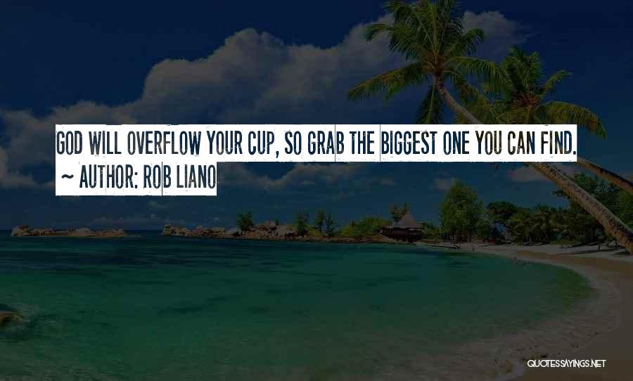 God's Abundance Quotes By Rob Liano