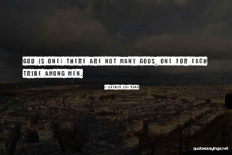 Gods Among Us Quotes By Sathya Sai Baba Gods Among Us Quotes By Sathya Sai Baba