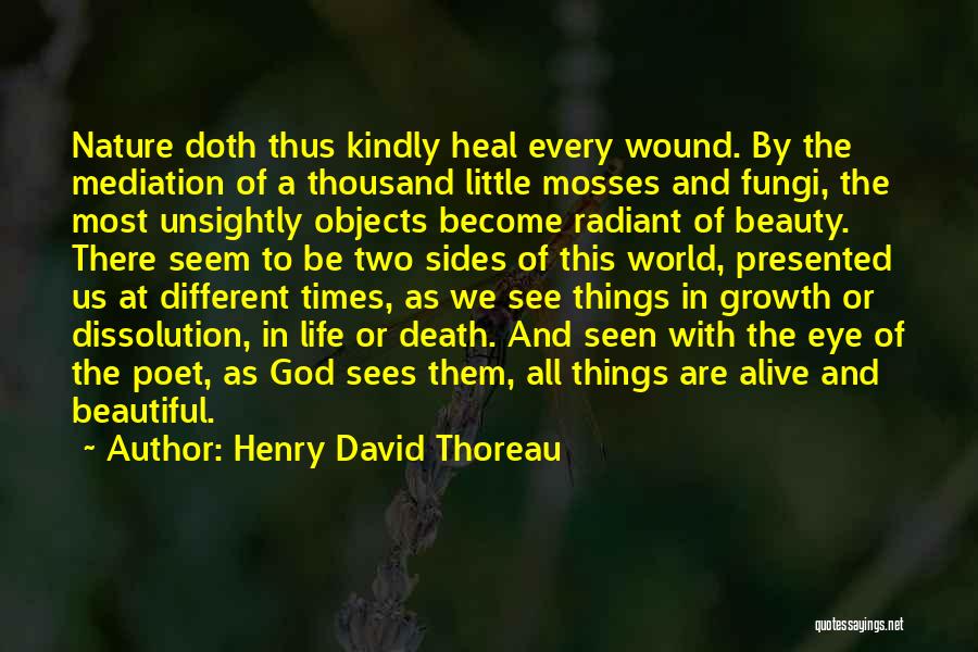 God's Beautiful Nature Quotes By Henry David Thoreau