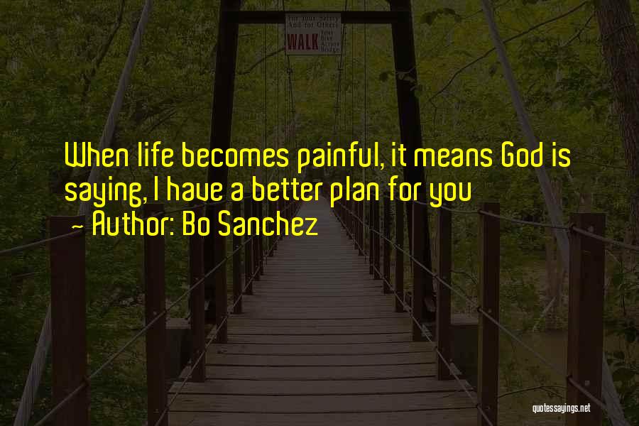 God's Better Plan Quotes By Bo Sanchez