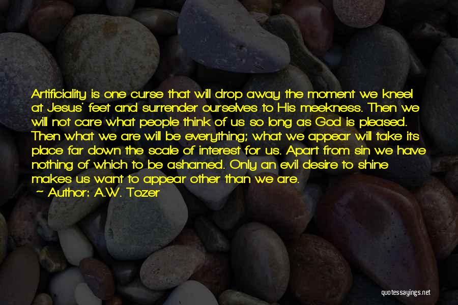 God's Care For Us Quotes By A.W. Tozer