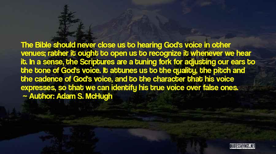 God's Character Quotes By Adam S. McHugh