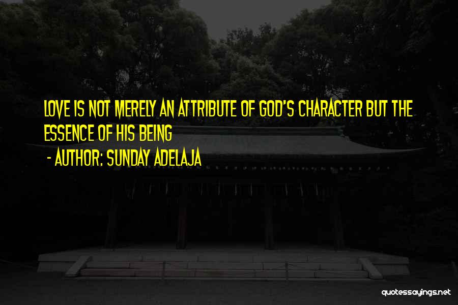 God's Character Quotes By Sunday Adelaja