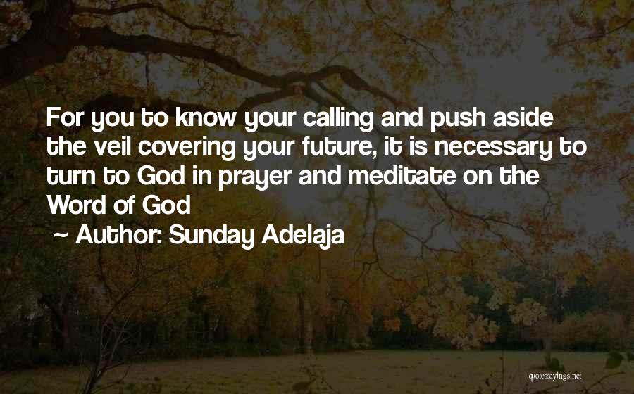 God's Covering Quotes By Sunday Adelaja