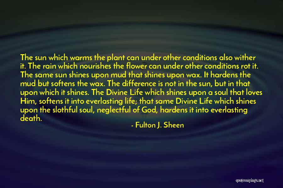 God's Everlasting Love Quotes By Fulton J. Sheen