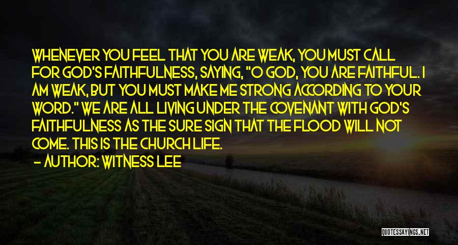 God's Faithfulness Quotes By Witness Lee