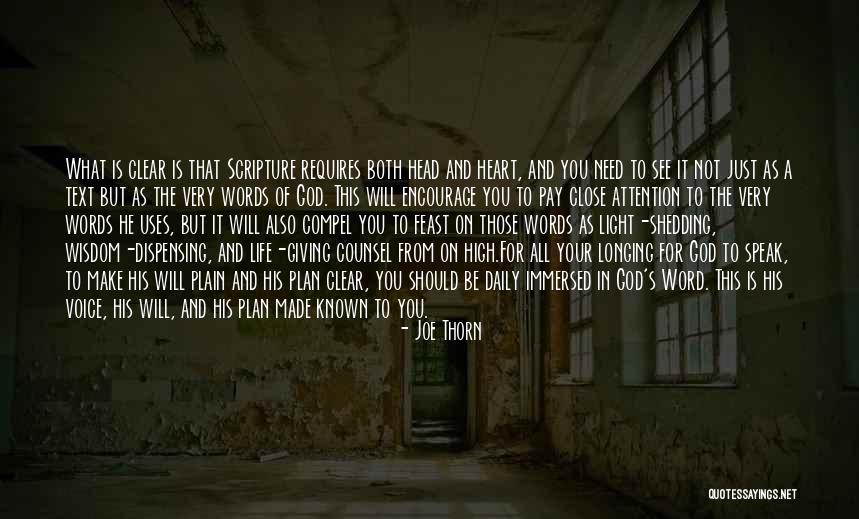 God's Got A Plan For You Quotes By Joe Thorn