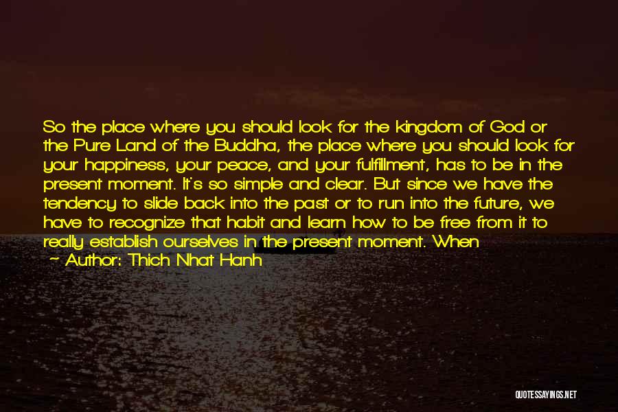 God's Kingdom Quotes By Thich Nhat Hanh