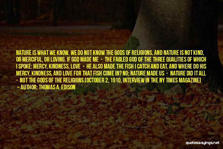 God's Loving Kindness Quotes By Thomas A. Edison