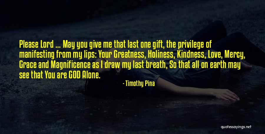 God's Magnificence Quotes By Timothy Pina