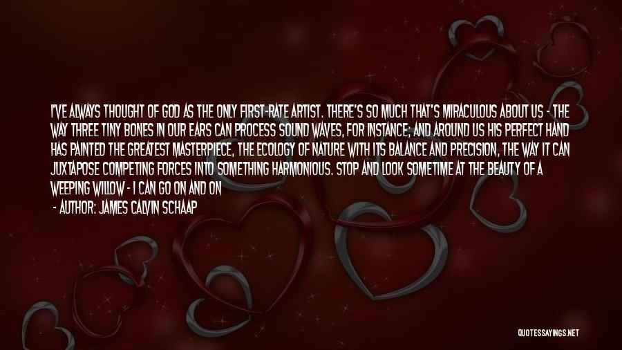 God's Masterpiece Quotes By James Calvin Schaap