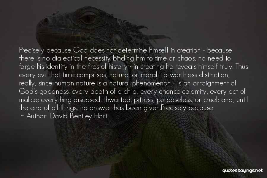 God's Nature Creation Quotes By David Bentley Hart