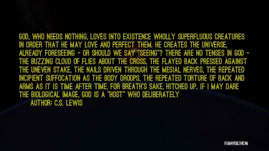 God's Perfect Love Quotes By C.S. Lewis