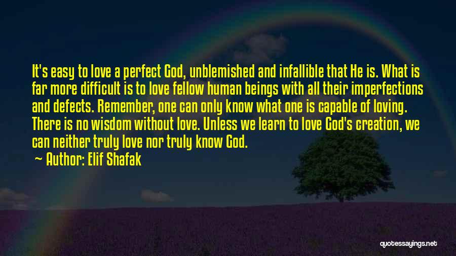 God's Perfect Love Quotes By Elif Shafak