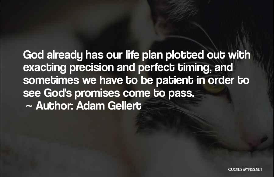 God's Plan And Timing Quotes By Adam Gellert