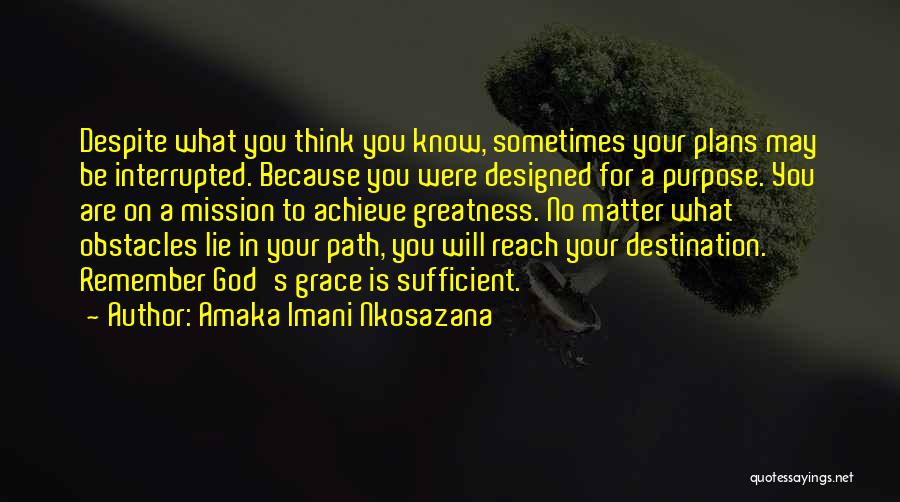 God's Plan For Your Life Quotes By Amaka Imani Nkosazana
