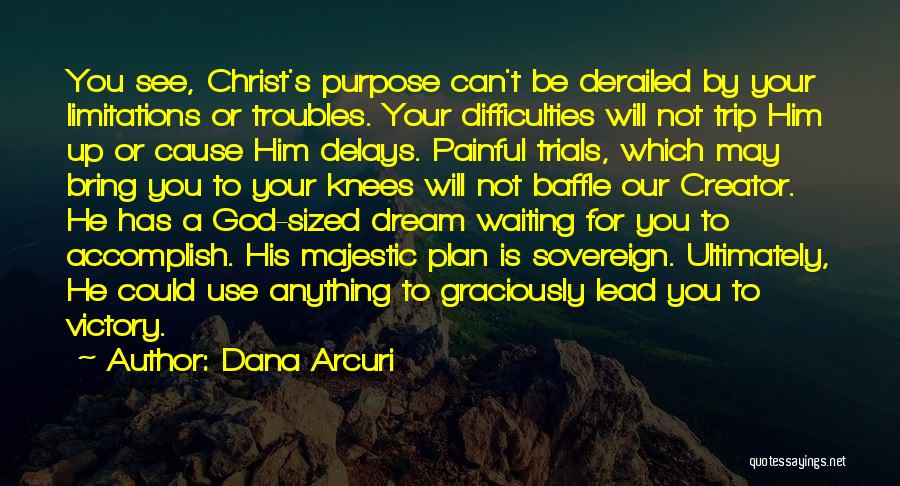 God's Plan For Your Life Quotes By Dana Arcuri