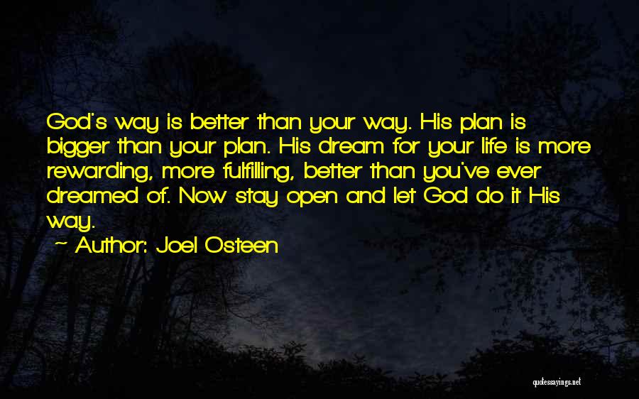 God's Plan For Your Life Quotes By Joel Osteen
