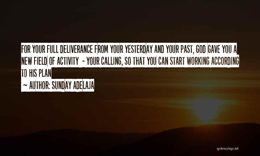 God's Plan For Your Life Quotes By Sunday Adelaja