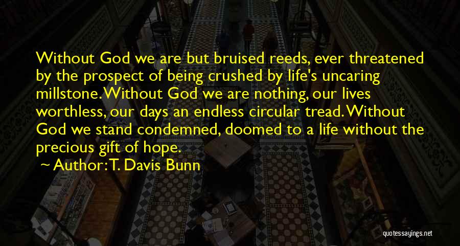 God's Precious Gift Quotes By T. Davis Bunn