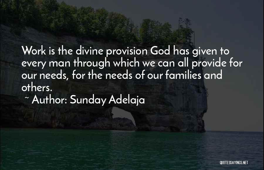 God's Provision Quotes By Sunday Adelaja