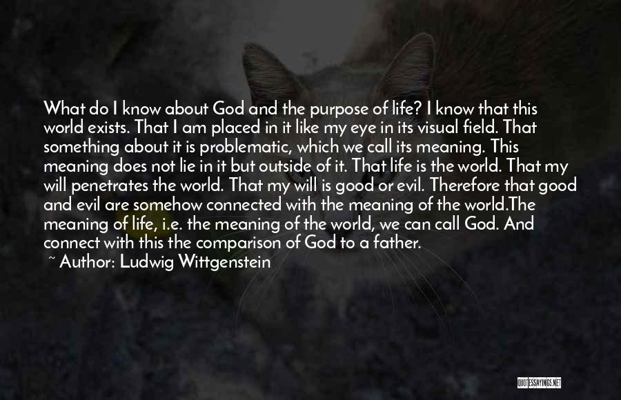 God's Purpose In My Life Quotes By Ludwig Wittgenstein