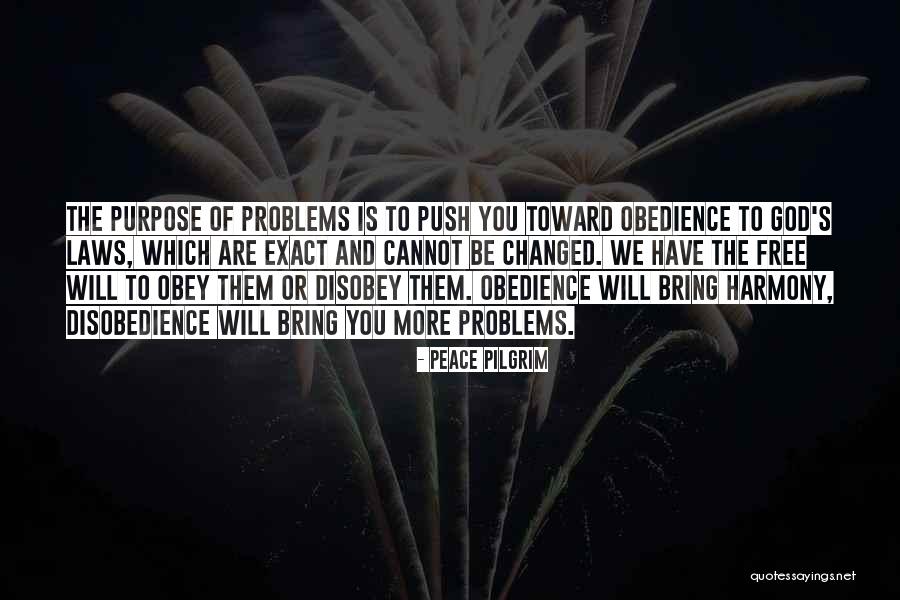 God's Purpose Quotes By Peace Pilgrim God's Purpose Quotes By Peace Pilgrim