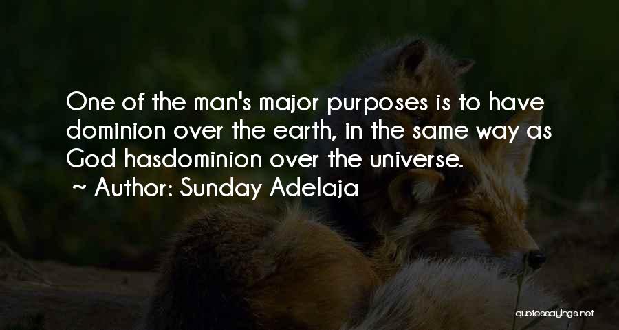 God's Purposes Quotes By Sunday Adelaja