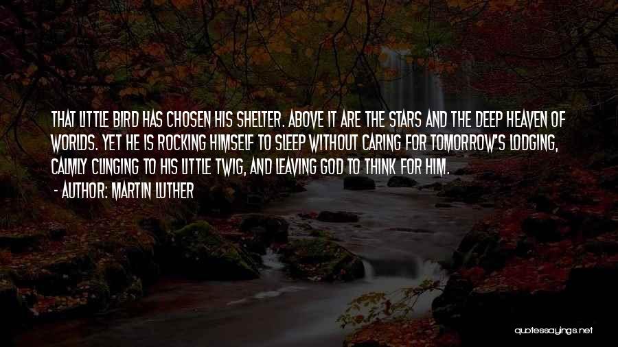 God's Shelter Quotes By Martin Luther
