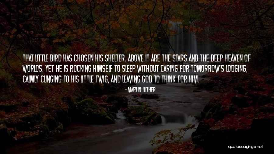 God's Shelter Quotes By Martin Luther