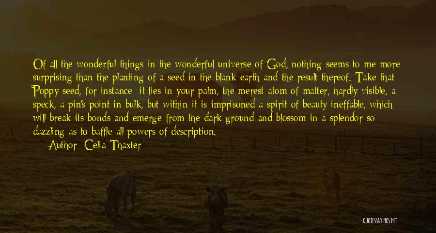 God's Splendor Quotes By Celia Thaxter