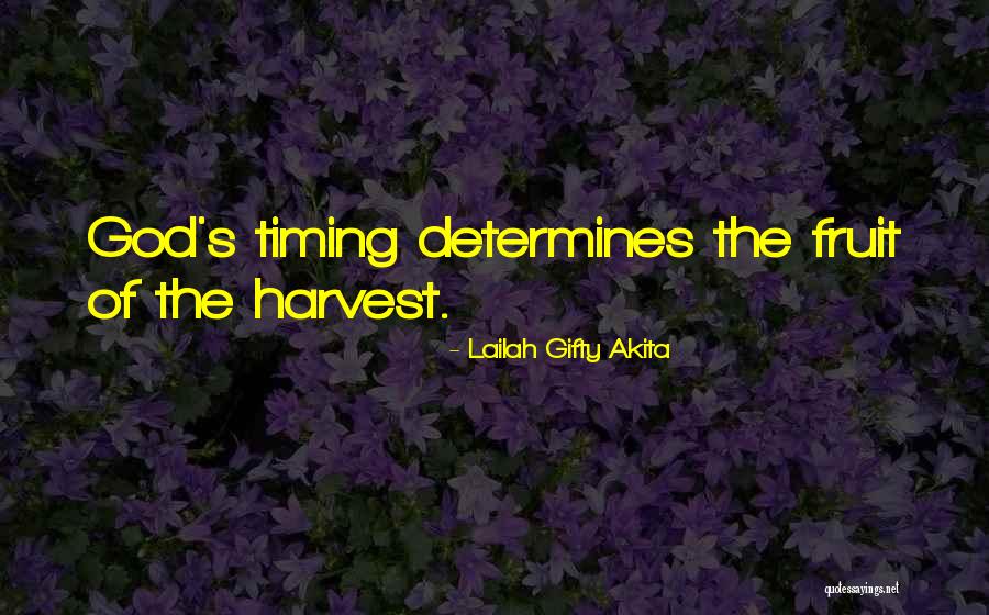 God's Timing Quotes By Lailah Gifty Akita