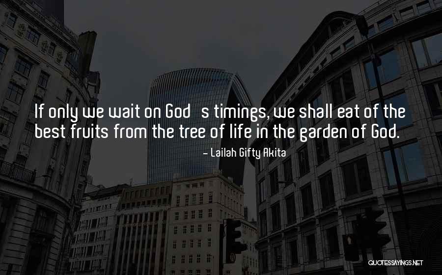 God's Timing Quotes By Lailah Gifty Akita