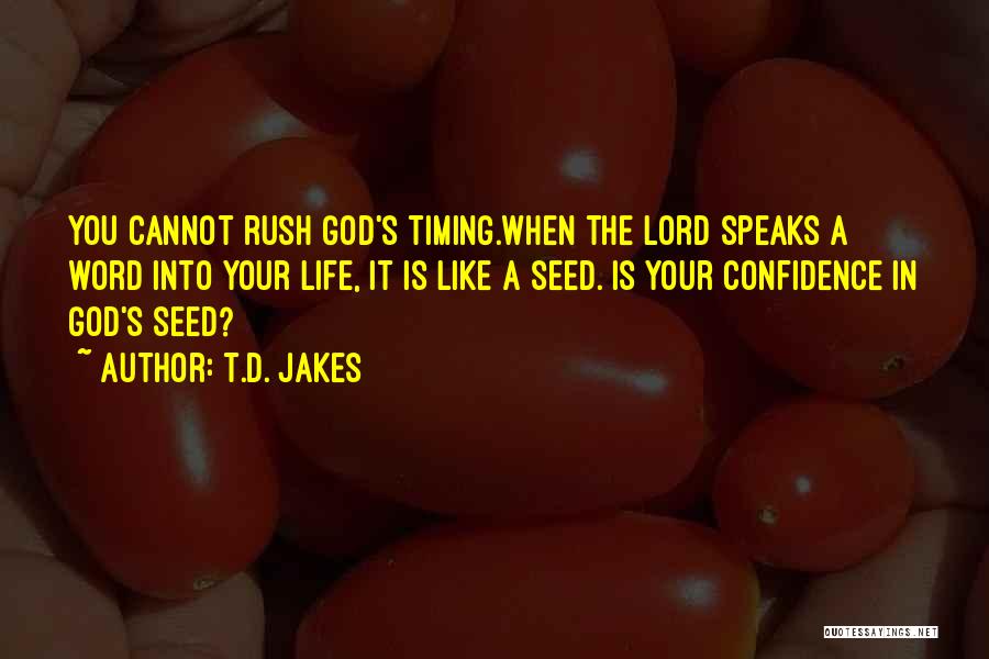 God's Timing Quotes By T.D. Jakes