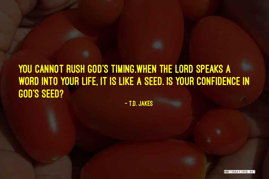 God's Timing Quotes By T.D. Jakes