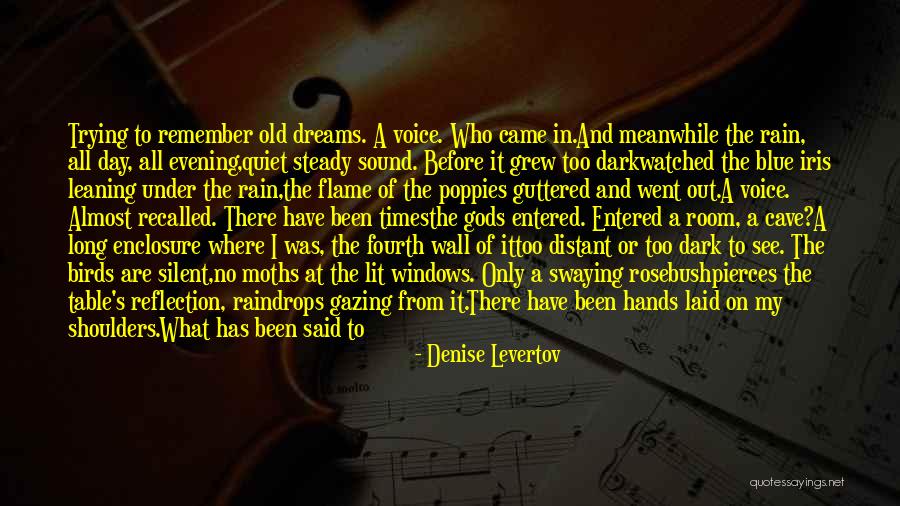 Gods Voice Quotes By Denise Levertov Gods Voice Quotes By Denise Levertov