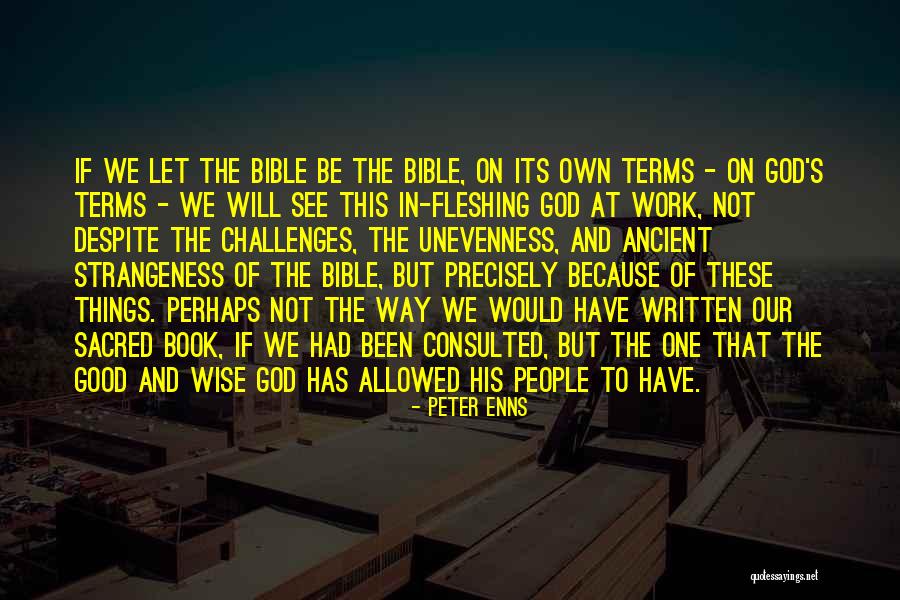 God's Will In The Bible Quotes By Peter Enns